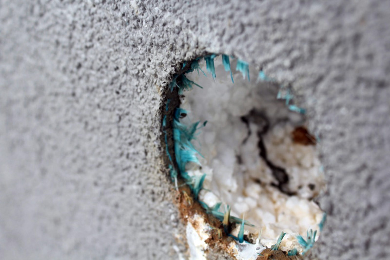 How to Get Rid of Woodpeckers